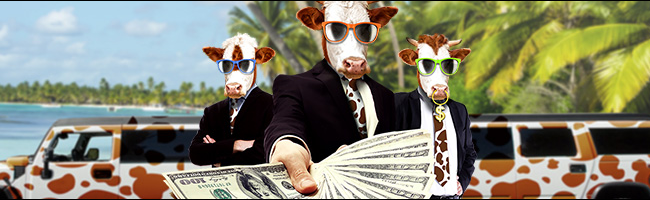 Cash Cow